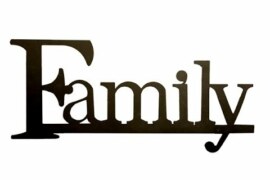 جمع family .. ما هو the plural of family .. كيف تجمع كلمة فاميلي
