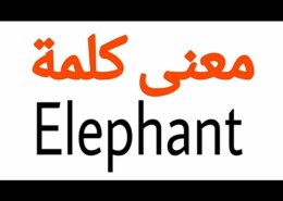 كم مقطع في كلمة elephant .. عدد المقاطع الصوتية لكلمة فيل باللغة الانجليزية