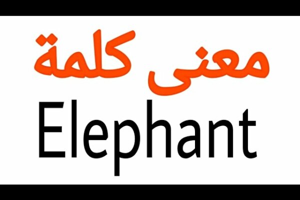 كم مقطع في كلمة elephant .. عدد المقاطع الصوتية لكلمة فيل باللغة الانجليزية