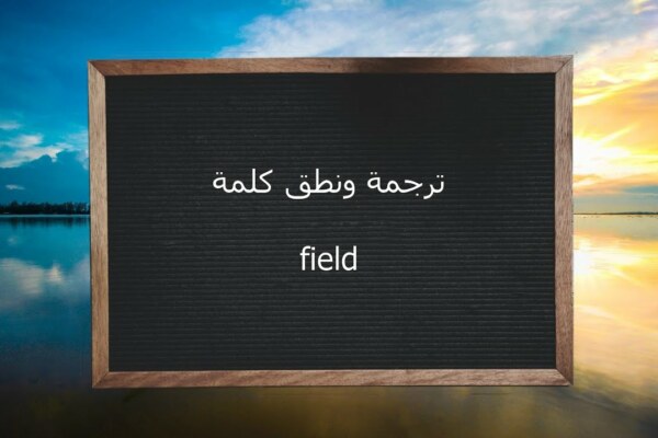 كلمة field في جملة