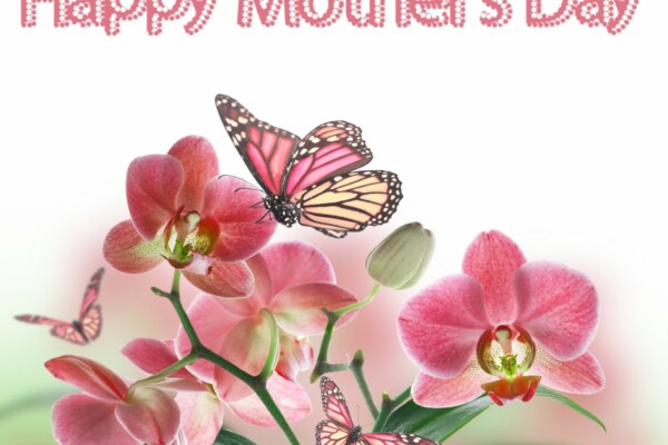 الرد على happy Mothers Day
