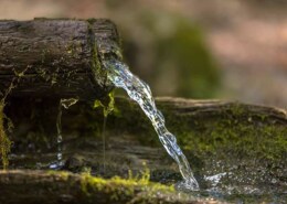 تقرير عن مصادر المياه في سلطنة عمان مميز وجديد